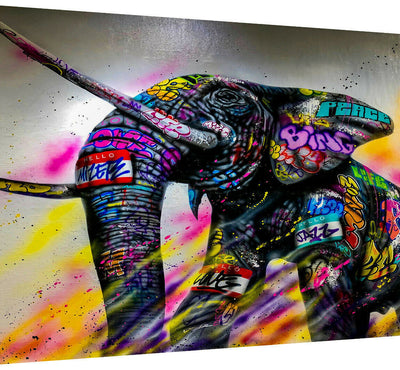 Leinwand Abstrakt Elefant Tiere Bilder Wandbilder - Hochwertiger Kunstdruck B8122