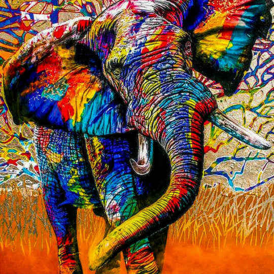 Leinwand Abstrakt Elefant Tiere Bilder Wandbilder - Hochwertiger Kunstdruck A3473