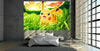 Leinwand Animies Pokemon Pikachu Bilder Wandbilder - Hochwertiger Kunstdruck P5055